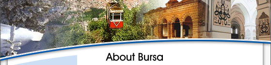 About Bursa